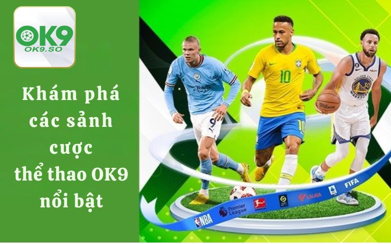 Các sảnh cược thể thao của OK9