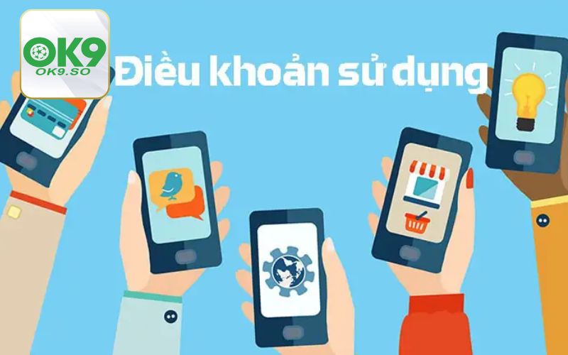 Thông tin tổng quan về điều khoản sử dụng 